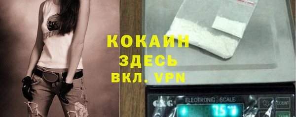 твердый Нягань