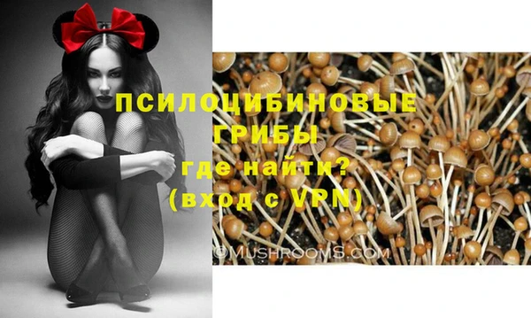 ECSTASY Нязепетровск