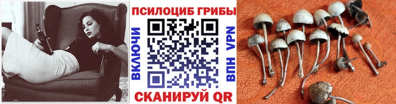 Галлюциногенные грибы GOLDEN TEACHER Поворино