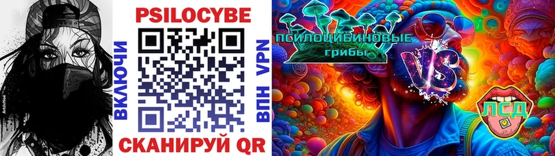 Купить где  Поворино  Псилоцибиновые грибы MAGIC MUSHROOMS 